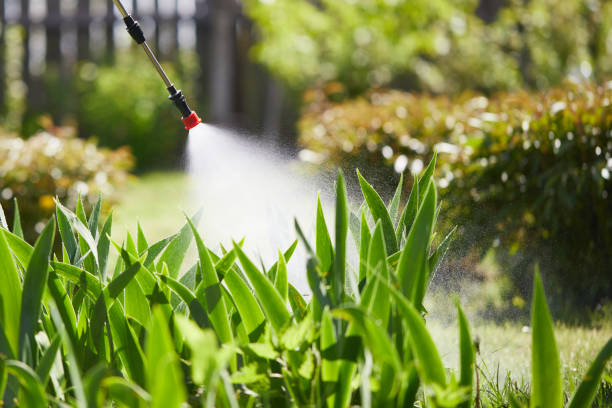 Tamper-Resistant Bait Stations for Rodents in Willard