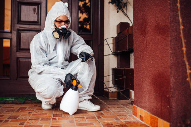 Attic and Crawl Space Rodent Treatment in Willard